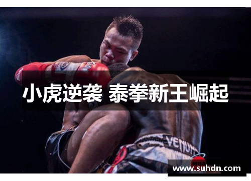 小虎逆袭 泰拳新王崛起
